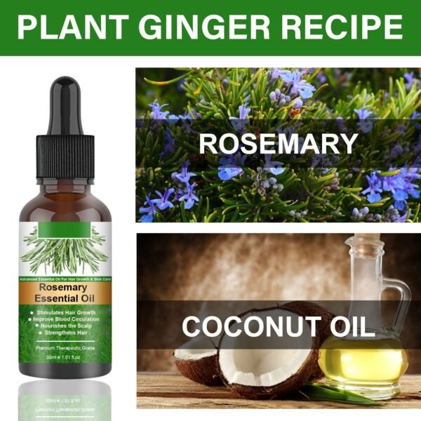 Rosemary Hair Oil Anti-loss Hair